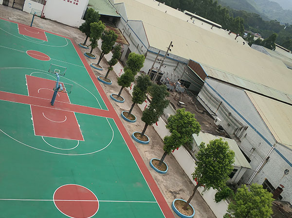 校园一角-篮球场